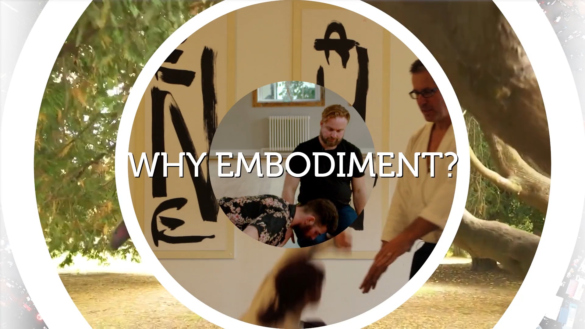 Why Embodiment